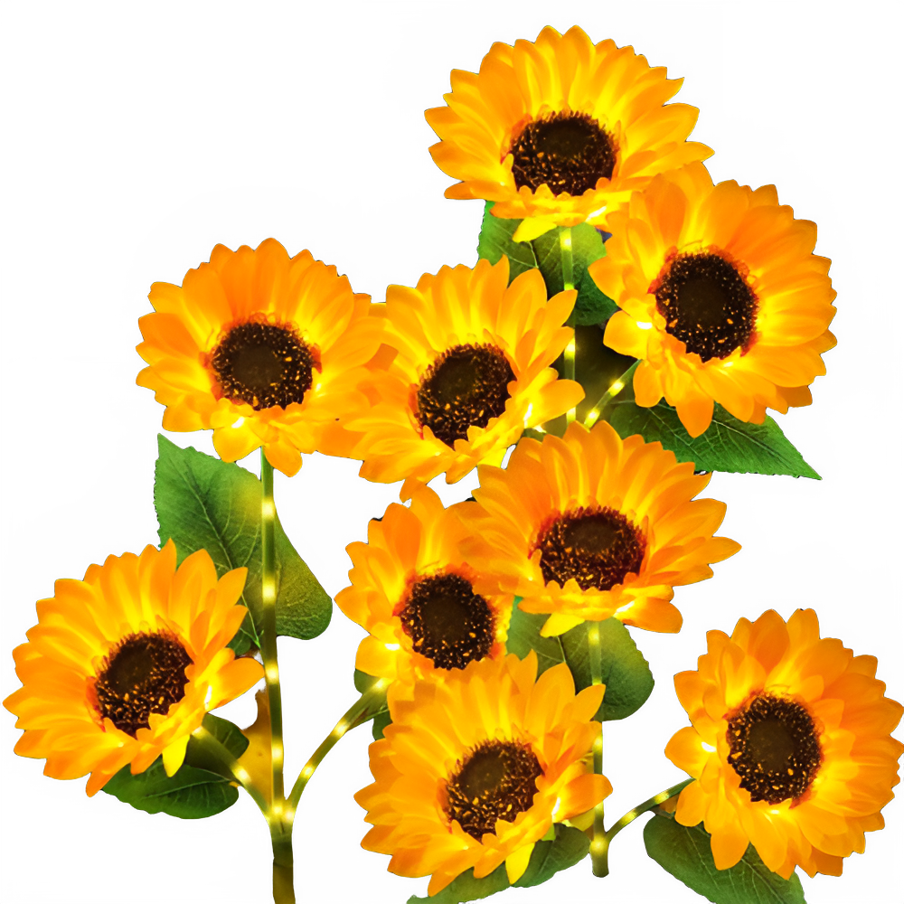 dd6dfa6a-5b23-4908-a2c1-ca2bcdb110b9